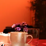 Opera Pinciana 4*